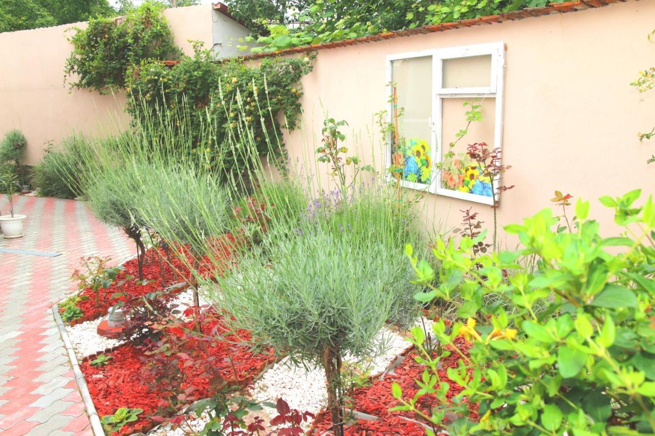 Yox Apartment 5 Oradea Luaran gambar